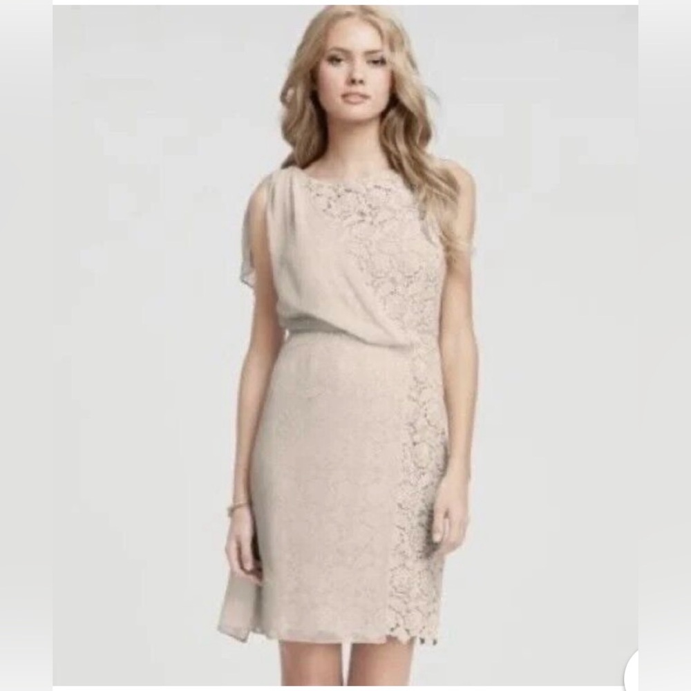 Ann Taylor dress size 4 light beige cotton lace with 100% silk overlay PERFECT